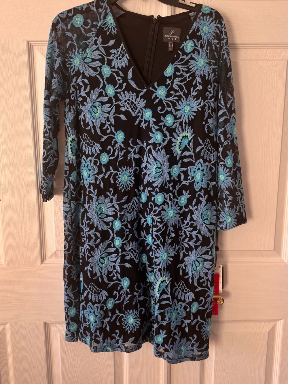 Adrianna Papell Black Dress with Blue Floral Embroidery